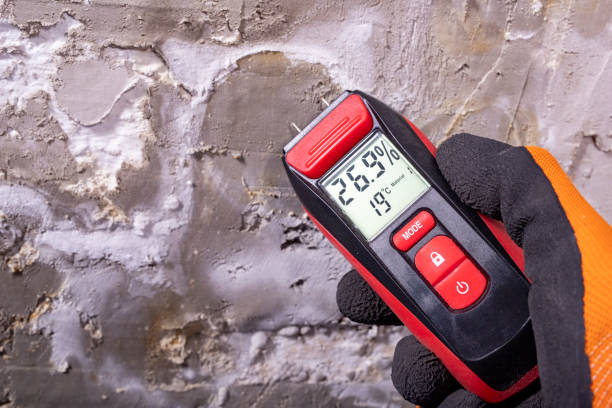 Best Localized Mold Remediation (e.g., coastal areas, humid climates) in Concord, MO