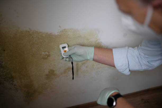 Concord, MO Mold Remediation Company